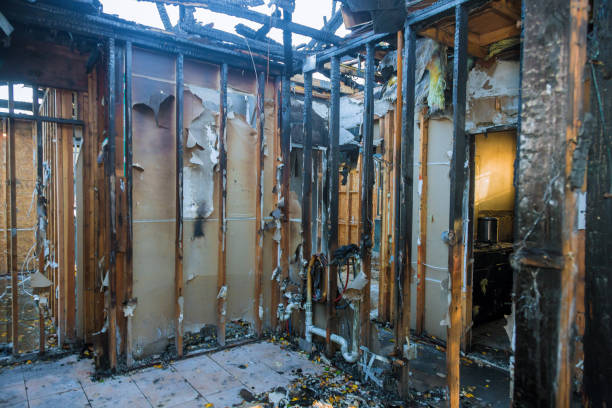 Professional Fire Damage Removal technician working in New Market, MD